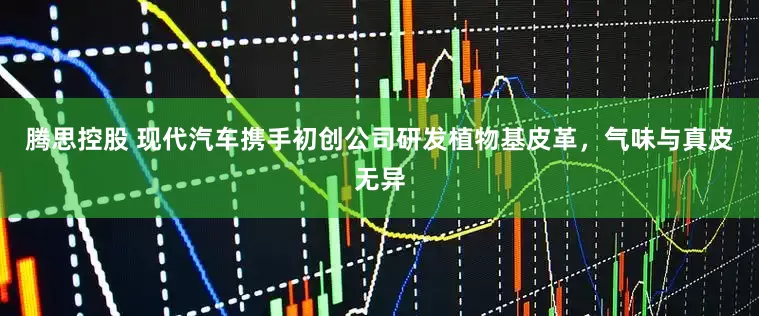 腾思控股 现代汽车携手初创公司研发植物基皮革，气味与真皮无异